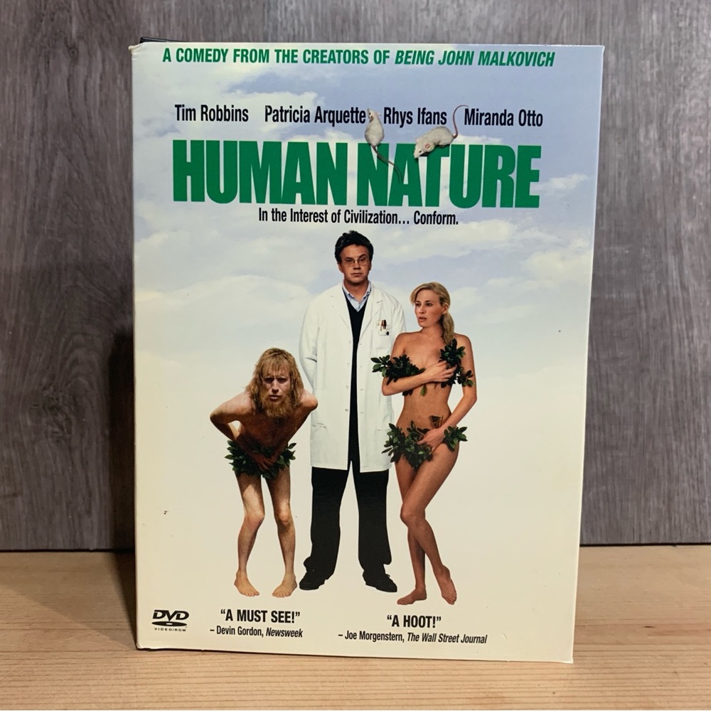 DVD Collection - Picture 10 of 16